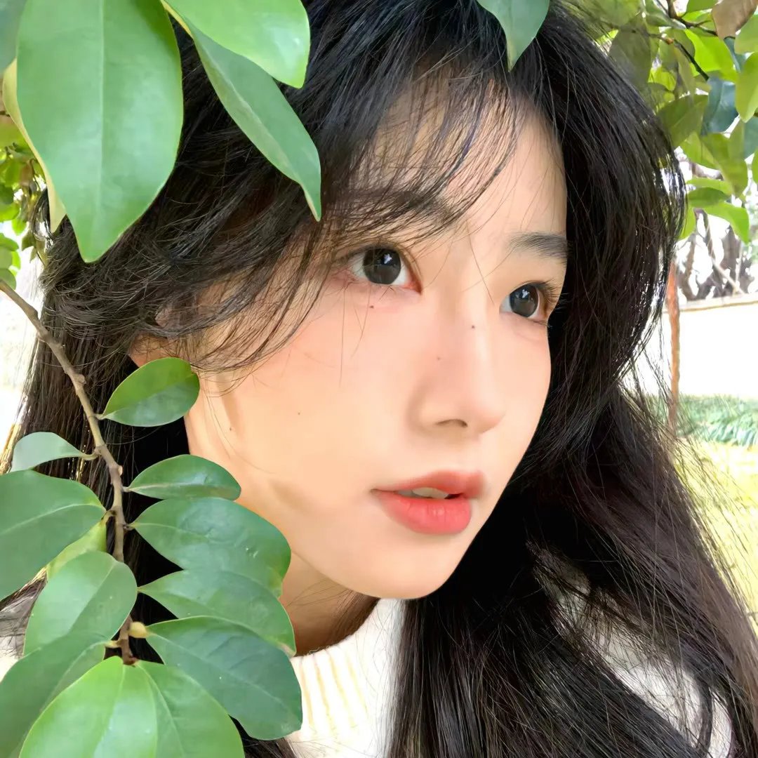 新教宗